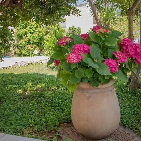 Evdokia αpartments & Dimitra Village شقة فندقية