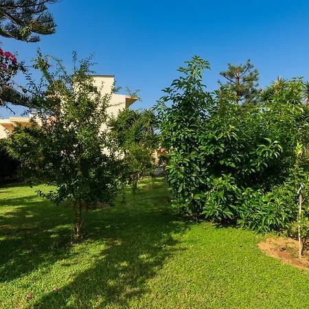 Evdokia αpartments & Dimitra Village Agia Marina